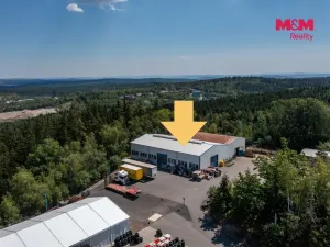 Pronájem výrobních prostor, Dubno, 594 m2