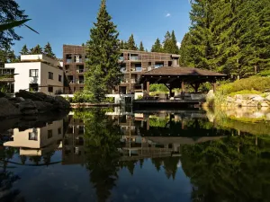 Prodej bytu 3+kk, Železná Ruda, K vodárně, 120 m2