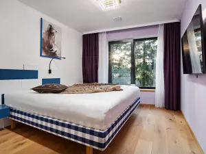 Prodej bytu 3+kk, Železná Ruda, K vodárně, 120 m2