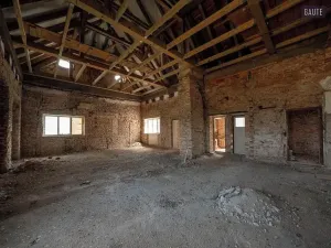 Prodej zemědělské usedlosti, Vlasatice, 5889 m2