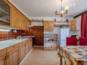 Prodej rodinného domu, Boršice u Blatnice, 240 m2