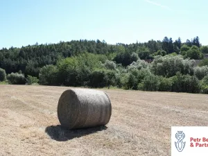 Prodej zemědělské usedlosti, Hřebečníky, 97 m2