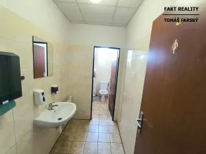 Pronájem kanceláře, Ústí nad Labem, Přístavní, 37 m2