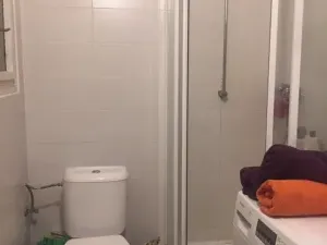Pronájem bytu 1+kk, Praha - Podolí, Na dolinách, 30 m2
