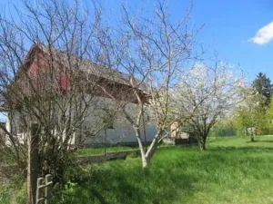 Dražba rodinného domu, Vápenný Podol, 190 m2