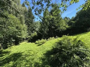 Prodej chaty, Ostravice, 55 m2