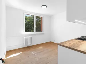 Prodej bytu 1+1, Frýdek-Místek, J. E. Purkyně, 35 m2