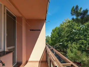Prodej bytu 1+1, Frýdek-Místek, J. E. Purkyně, 35 m2