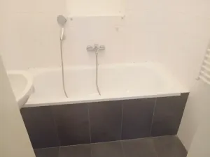 Pronájem bytu 2+1, Praha - Vinohrady, Francouzská, 63 m2