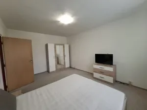 Pronájem bytu 1+1, Chomutov, Školní pěšina, 37 m2