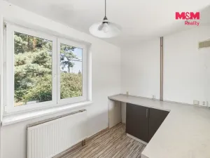 Pronájem rodinného domu, Dolní Beřkovice, Dolní hájek, 100 m2