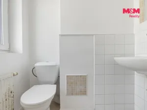 Pronájem rodinného domu, Dolní Beřkovice, Dolní hájek, 100 m2