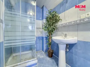 Prodej rodinného domu, Sokolov - Vítkov, Stará Ovčárna, 340 m2
