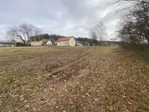 Dražba louky, Slavče, 1010 m2