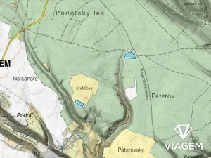 Prodej podílu lesa, Bělá pod Bezdězem, 2524 m2