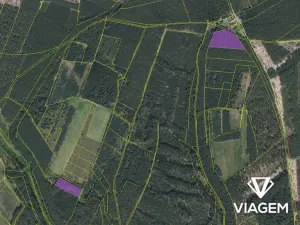 Prodej podílu lesa, Bělá pod Bezdězem, 2524 m2