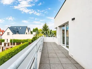 Pronájem rodinného domu, Praha - Břevnov, Falcká, 500 m2