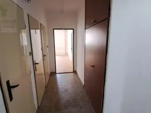 Pronájem bytu 3+1, Ostrava, Alšovo náměstí, 72 m2