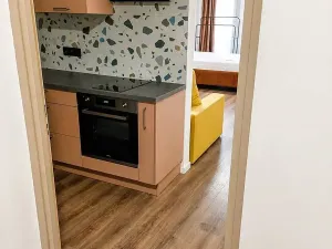 Pronájem bytu 1+1, Praha - Žižkov, V domově, 39 m2