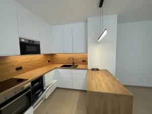 Pronájem bytu 3+kk, Praha - Řeporyje, Haenkeho, 80 m2