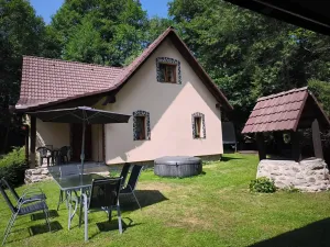 Prodej chalupy, Staré Město pod Landštejnem, 107 m2