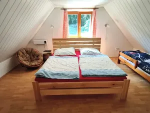 Prodej chalupy, Staré Město pod Landštejnem, 107 m2