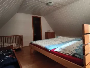 Prodej chalupy, Staré Město pod Landštejnem, 107 m2