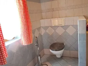 Prodej chalupy, Staré Město pod Landštejnem, 107 m2