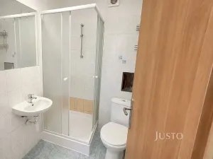 Pronájem bytu 1+1, Písek, Budějovická, 50 m2