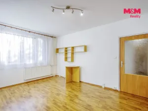 Pronájem bytu 1+1, Plasy, Potoční, 42 m2