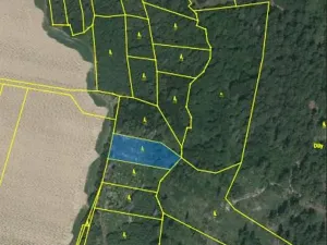 Prodej lesa, Lukavec, 1810 m2