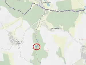 Prodej lesa, Lukavec, 1810 m2