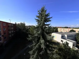 Pronájem bytu 1+1, Židlochovice, sídl. Družba, 35 m2