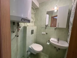 Pronájem rodinného domu, Jablonec nad Nisou, Janáčkova, 29 m2