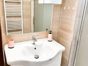 Pronájem bytu 2+kk, Plzeň, Čechova, 48 m2