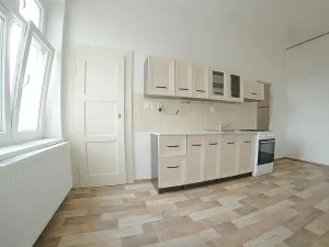 Pronájem bytu 2+1, Plzeň, Americká, 97 m2