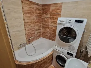 Prodej bytu 2+1, Brno, Palackého třída, 51 m2