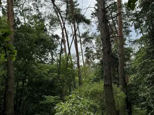 Prodej podílu pozemku, Kojice, 604 m2