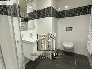 Pronájem bytu 1+kk, Praha - Hloubětín, U Tesly, 32 m2