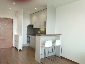 Pronájem bytu 1+kk, Plzeň, Sokolovská, 35 m2
