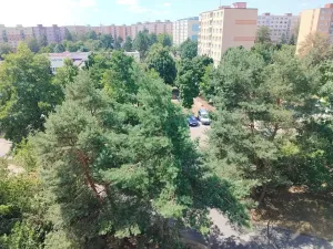 Pronájem bytu 1+kk, Plzeň, Sokolovská, 35 m2