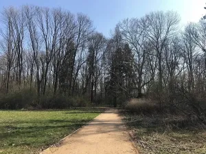 Pronájem bytu 3+kk, Sokolnice, Zámecká, 71 m2