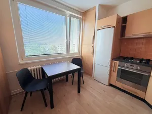 Pronájem bytu 1+1, Židlochovice, sídl. Družba, 34 m2