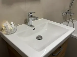 Pronájem bytu 2+kk, Brno, Letní, 56 m2