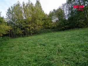 Prodej lesa, Kosov, 467 m2