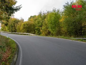 Prodej lesa, Kosov, 467 m2
