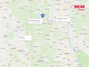 Prodej lesa, Kosov, 467 m2