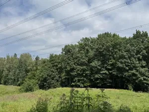 Prodej rybníku, Karviná, 12501 m2