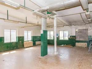 Prodej obchodního prostoru, Raspenava, 24366 m2