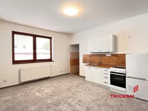 Pronájem bytu 1+kk, Hradec Králové - Piletice, 23 m2